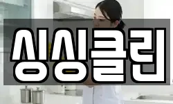 싱싱클린