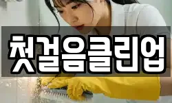 첫걸음클린업