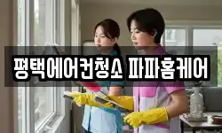 평택에어컨청소 파파홈케어