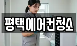 경기 평택시 세교동 청소,입주청소,사무실청소,에어컨청소