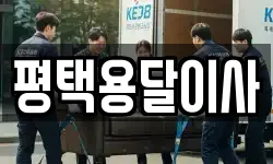 평택용달이사