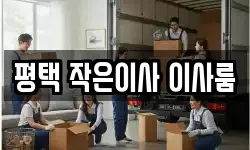 경기 평택시 세교동 이사,용달이사,포장이사,원룸이사,보관이사