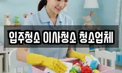 입주청소 이사청소 청소업체