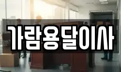 가람용달이사