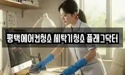 경기 평택시 안중읍 청소,입주청소,사무실청소,에어컨청소