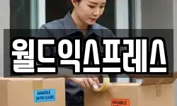 월드익스프레스