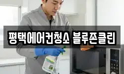 평택에어컨청소 블루존클린
