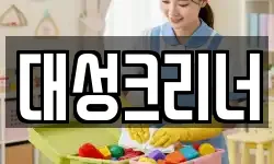 대성크리너