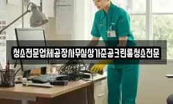 청소전문업체공장사무실상가준공크린룸청소전문