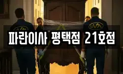 파란이사 평택점 21호점
