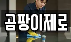 곰팡이제로