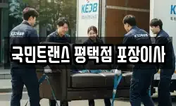 국민트랜스 평택점 포장이사