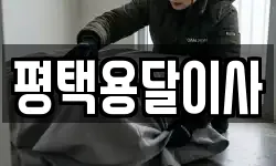 평택용달이사