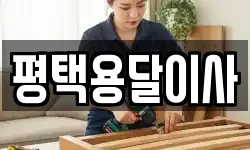 평택용달이사