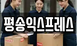 경기 평택시 장안동 이사,용달이사,포장이사,원룸이사,보관이사