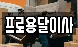 프로용달이사