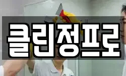 클린정프로