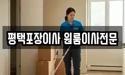평택포장이사 원룸이사전문