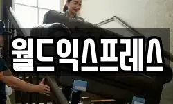 월드익스프레스