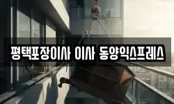 경기 평택시 지산동 이사,용달이사,포장이사,원룸이사,보관이사