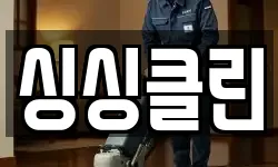 싱싱클린
