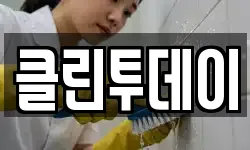 클린투데이