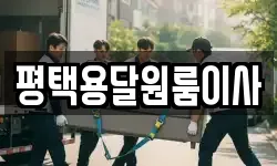 평택용달원룸이사