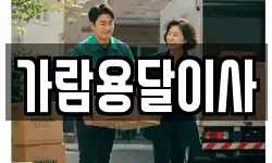 가람용달이사