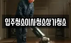 입주청소이사청소상가청소
