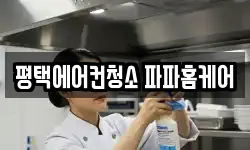 평택에어컨청소 파파홈케어