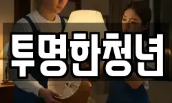 투명한청년