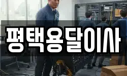 평택용달이사