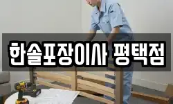 경기 평택시 팽성읍 이사,용달이사,포장이사,원룸이사,보관이사