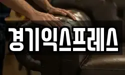 경기 평택시 평택동 이사,용달이사,포장이사,원룸이사,보관이사