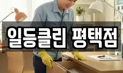 일등클린 평택점