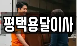 경기 평택시 이사,용달이사,포장이사,원룸이사,보관이사