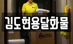김도현용달화물