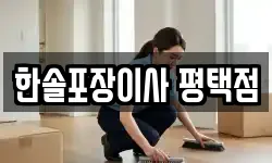 한솔포장이사 평택점