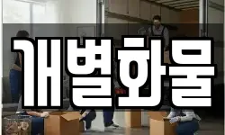 개별화물