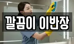 깔끔이 이반장