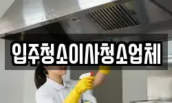입주청소이사청소업체