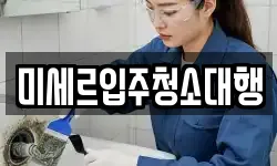 미세르입주청소대행
