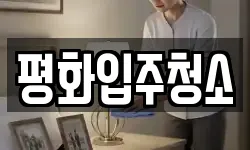 평화입주청소