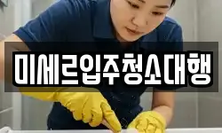 미세르입주청소대행