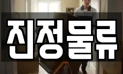 진정물류
