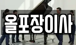 올포장이사
