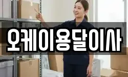 오케이용달이사