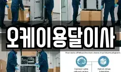 오케이용달이사