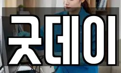 굿데이