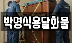 박명식용달화물